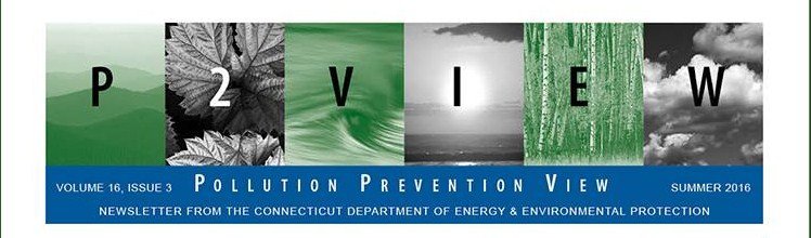 DEEP Summer 2016 Newsletter